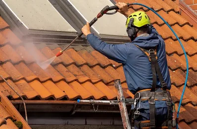 Démoussage et hydrofuge de toiture à Zérubia
